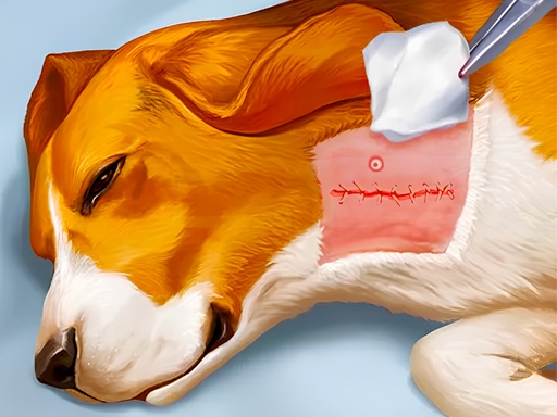 Dog Hospital_img